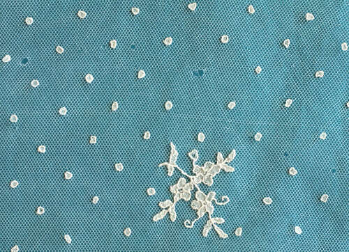 Antique Needle Lace Applique Shawl